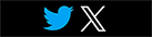 Twitter X page
